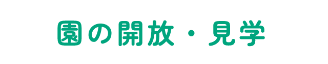 園の開放・見学