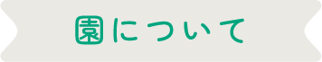 園について
